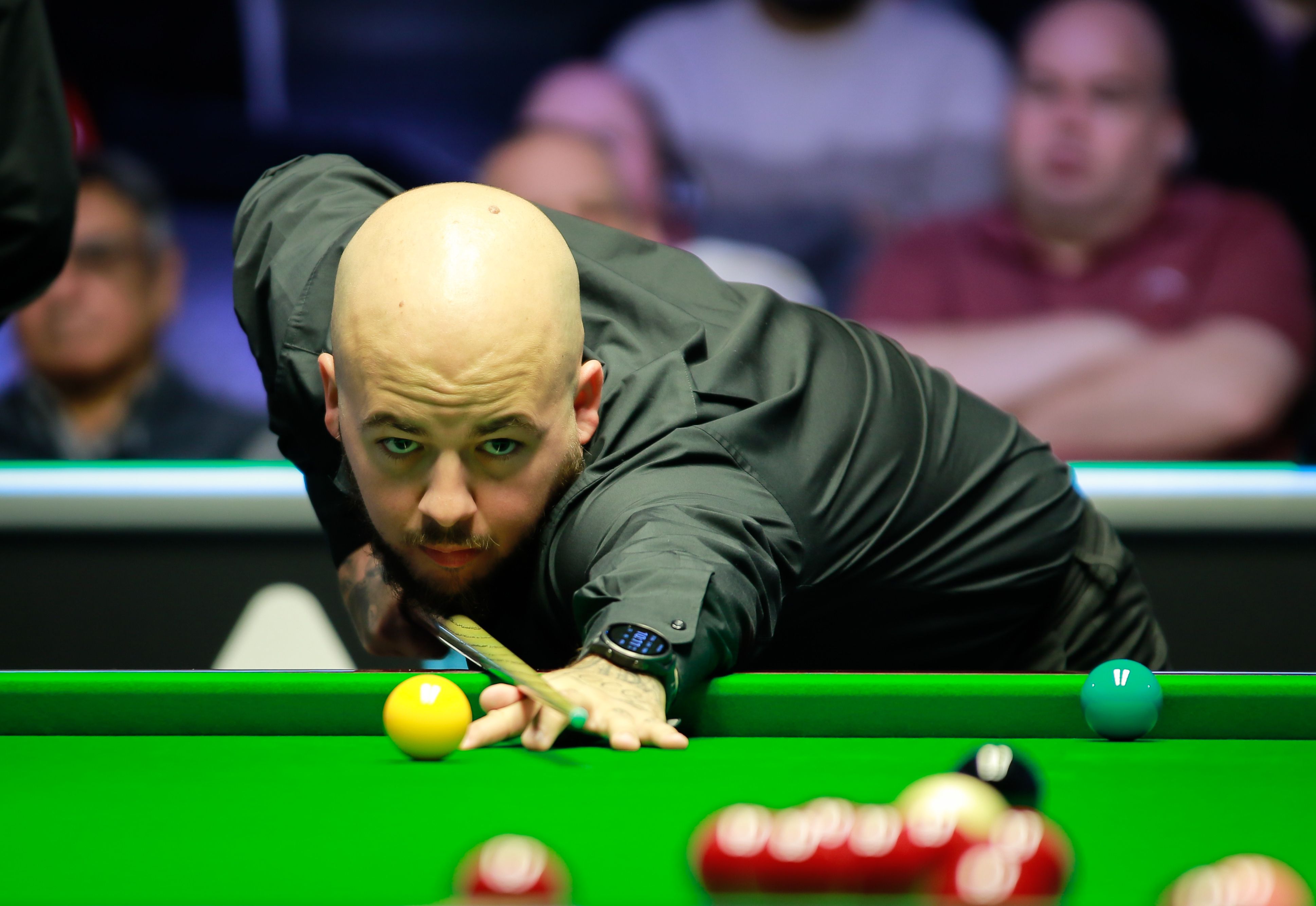 这一评价不 这一评价不